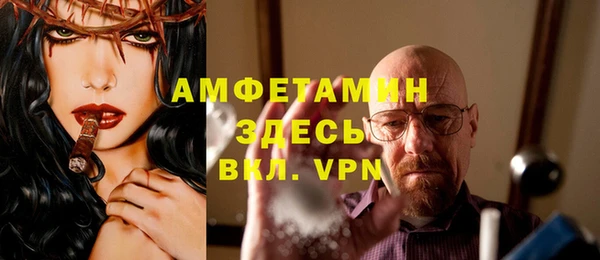 мдпв Бородино