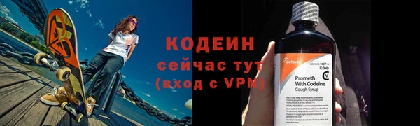 мдпв Бородино