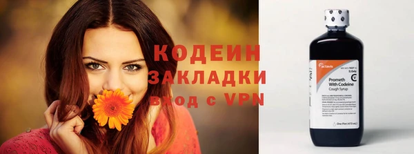 мдпв Бородино