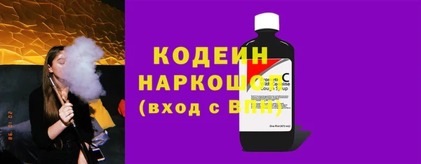 мдпв Бородино