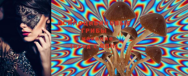 шишки Бугульма