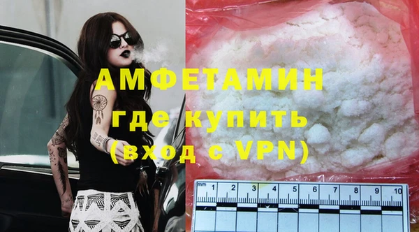 мдпв Бородино