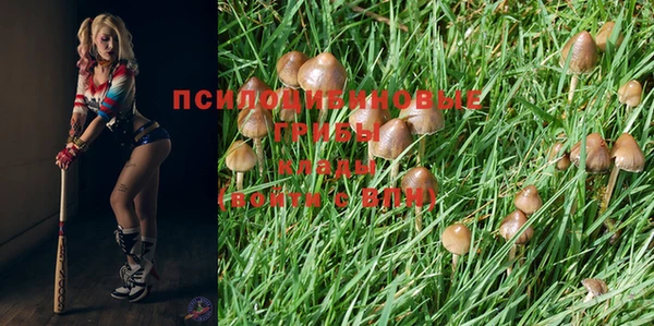 мдпв Бородино