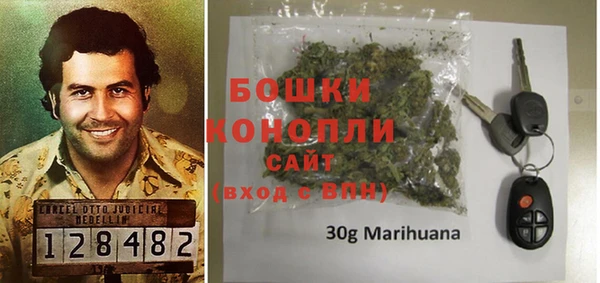 мдпв Бородино