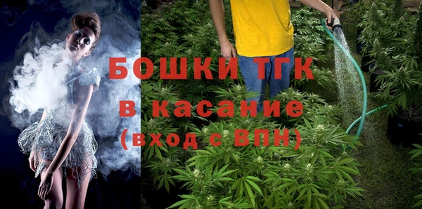 мдпв Бородино