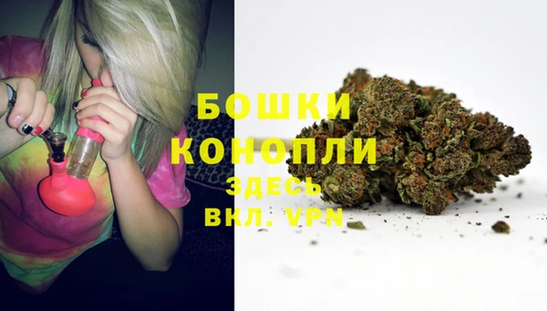 мдпв Бородино